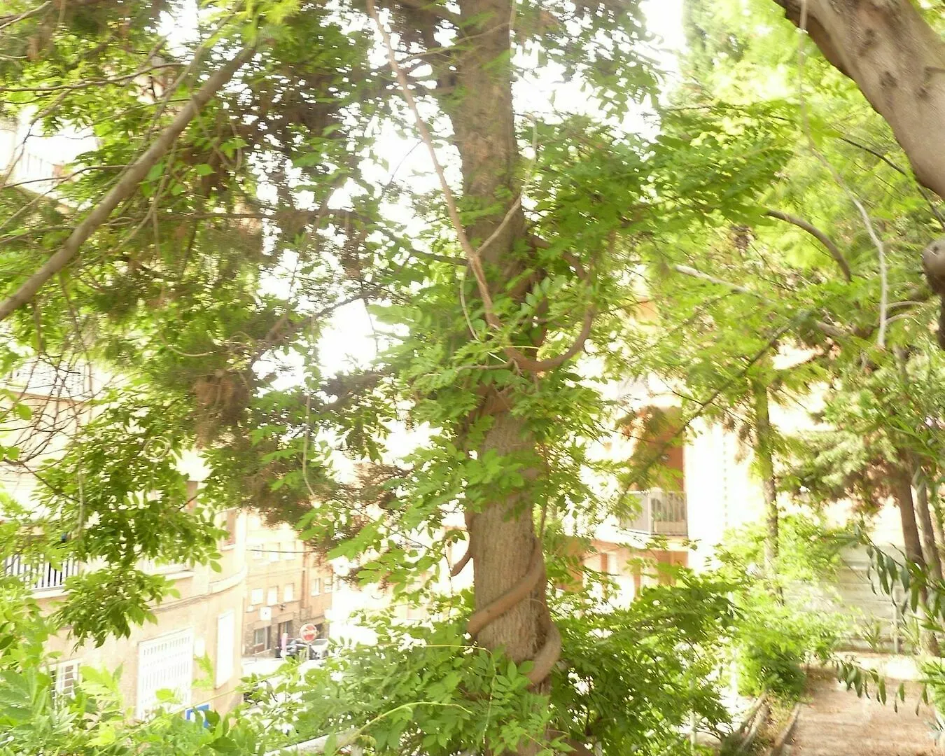 Hotel Casa Vilaro Barcelona